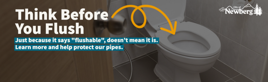 think_before_you_flush_banner-1_1